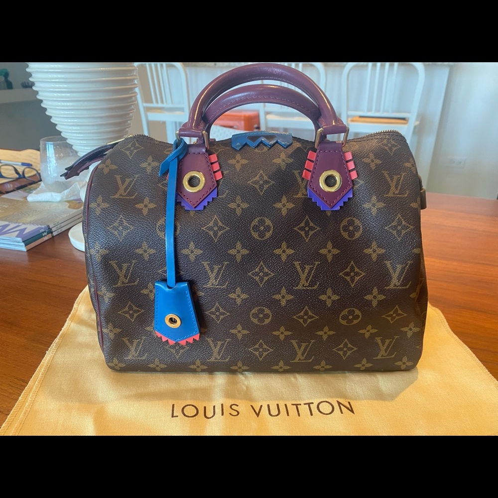 Louis Vuitton logo bag